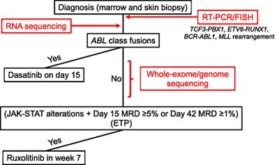 Integration of Next-Generation Sequencing to Treat Acute Lymphoblastic Leukemia with Targetable Lesions: The St. Jude Children’s Research Hospital Approach